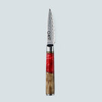 Aiko Red Damascus Steel Knife with Coloured Red Resin Handle